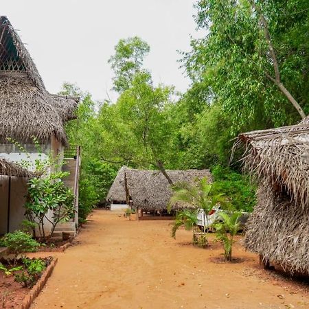 Nebula Nest Cafe & Hostel Auroville Ngoại thất bức ảnh