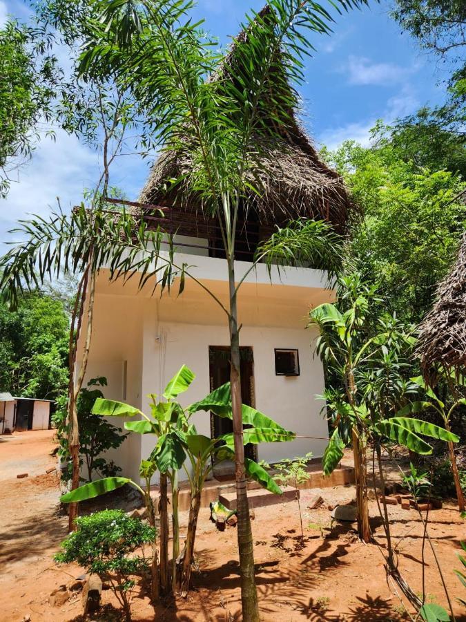 Nebula Nest Cafe & Hostel Auroville Ngoại thất bức ảnh