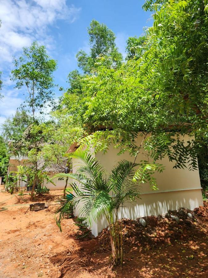 Nebula Nest Cafe & Hostel Auroville Ngoại thất bức ảnh