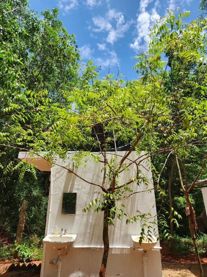 Nebula Nest Cafe & Hostel Auroville Ngoại thất bức ảnh