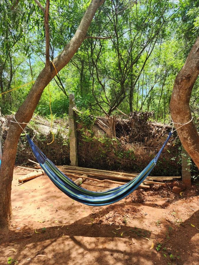 Nebula Nest Cafe & Hostel Auroville Ngoại thất bức ảnh