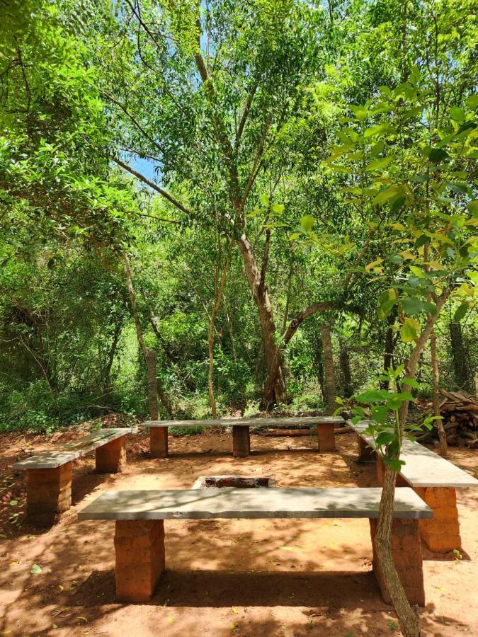 Nebula Nest Cafe & Hostel Auroville Ngoại thất bức ảnh