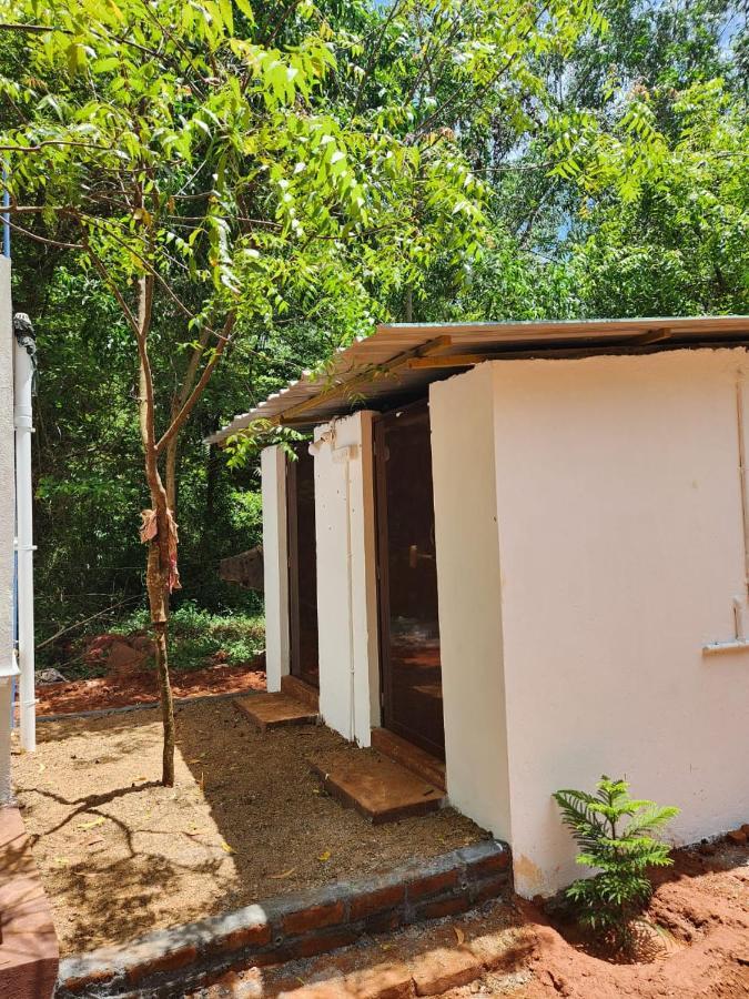 Nebula Nest Cafe & Hostel Auroville Ngoại thất bức ảnh
