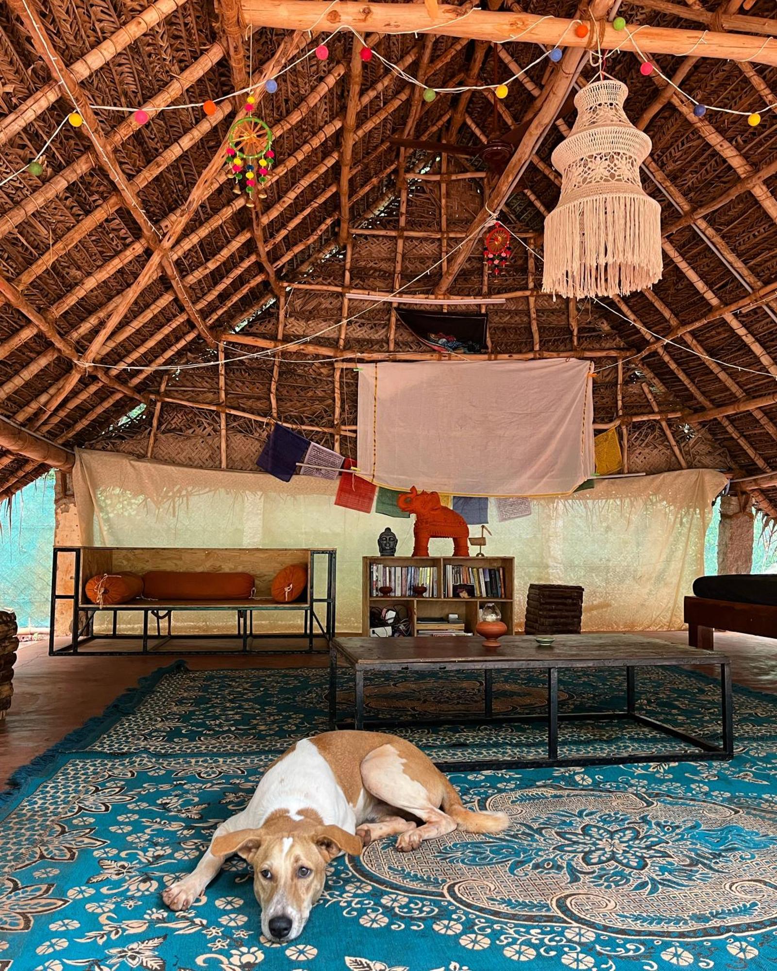 Nebula Nest Cafe & Hostel Auroville Ngoại thất bức ảnh