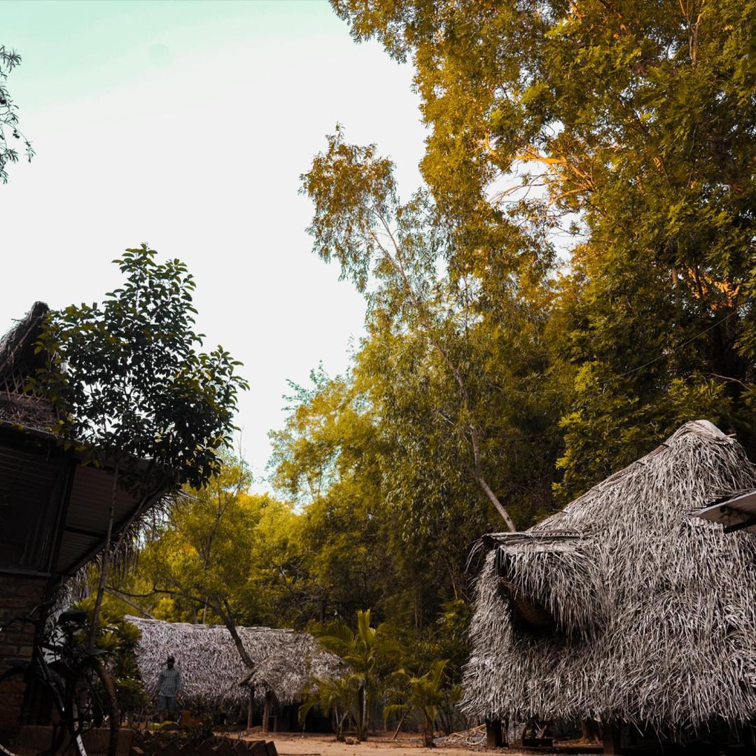 Nebula Nest Cafe & Hostel Auroville Ngoại thất bức ảnh