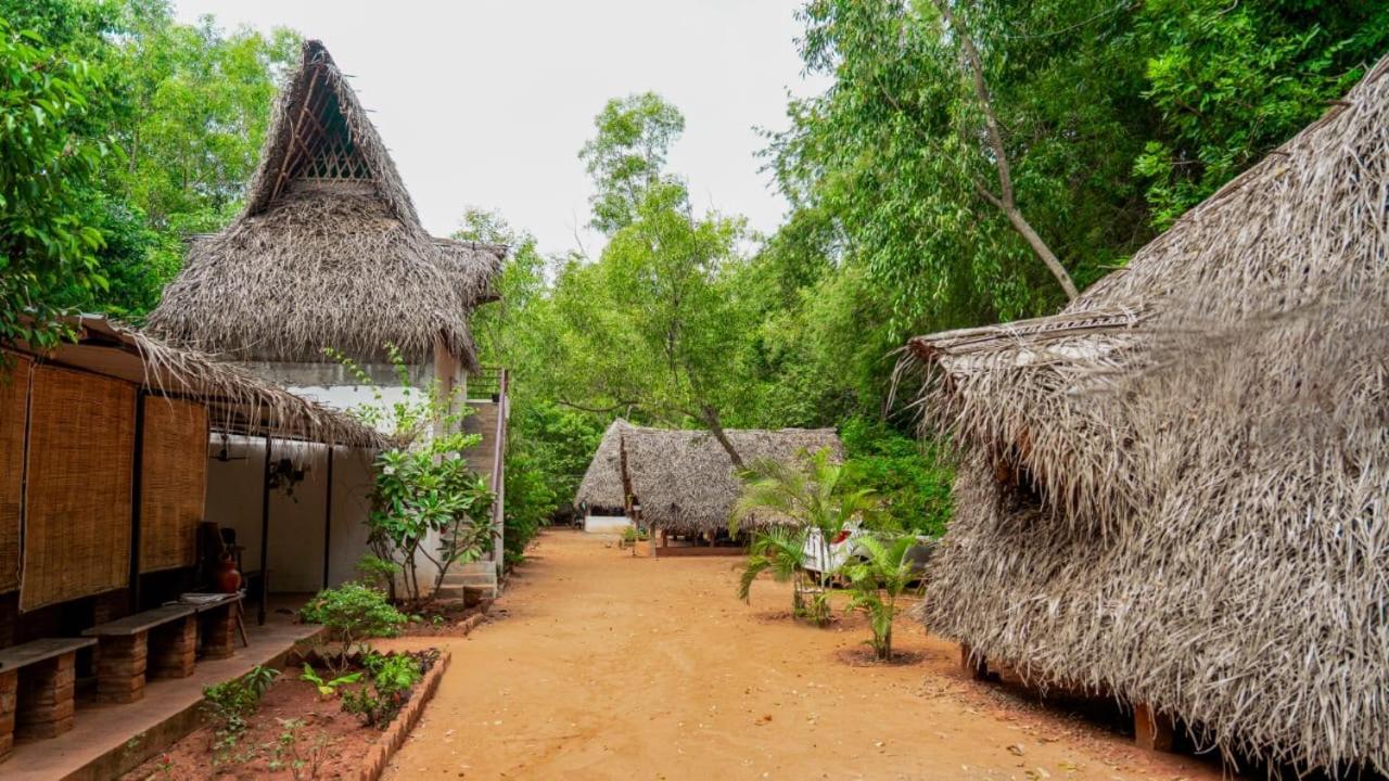 Nebula Nest Cafe & Hostel Auroville Ngoại thất bức ảnh
